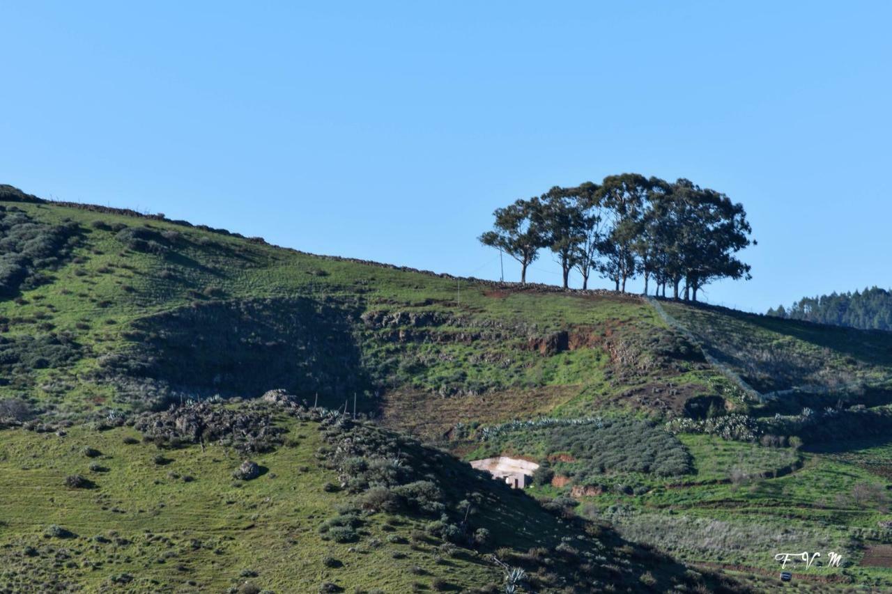 فيلا Casa Rural Zalemy San Pedro  المظهر الخارجي الصورة